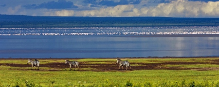 Lago Manyara