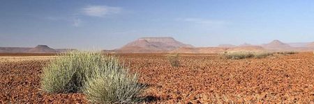 Desierto de Namibia