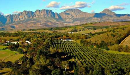 Stellenbosch