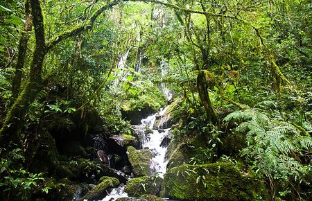Reserva de la Biosfera Yaboti