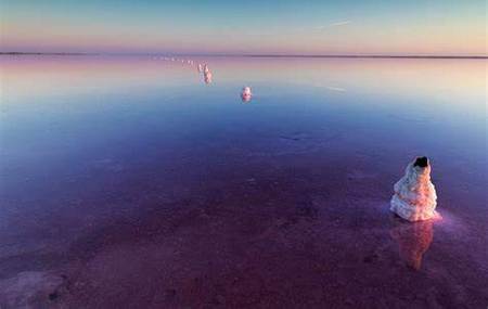 Lago Tyrrell