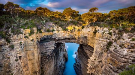 Tasmans Arch