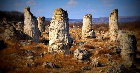 Pobitite Kamani