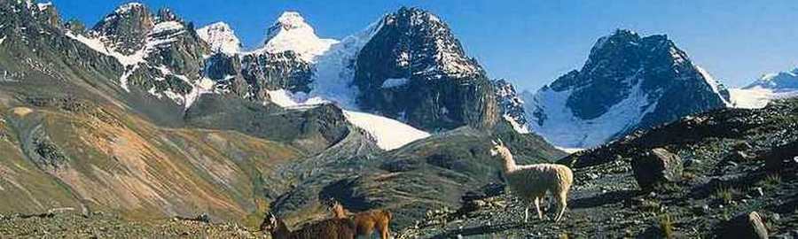 Bolivia - Los Andes