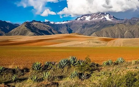Paisaje Boliviano