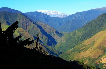 Yungas