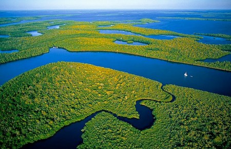 Amazonas - Brasil