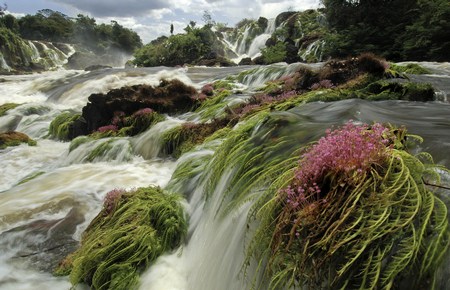 Parque Nacional de Tumucumaque