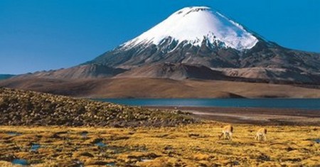 Volcan Parinacota