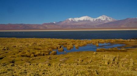 Ojos del Salado