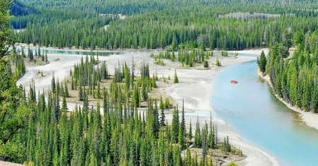 Parque Provincial Birch Mountains Wildland - Alberta
