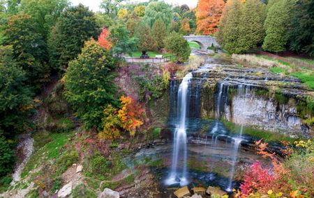 Webster Falls - Hamilton