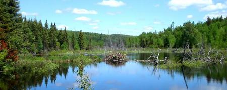 Region de Laurentides - Provincia de Quebec