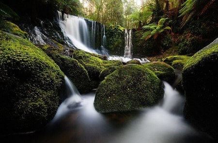 Parque Nacional Mount Field - Cataratas