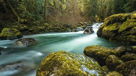 Tamihi Creek - British Columbia