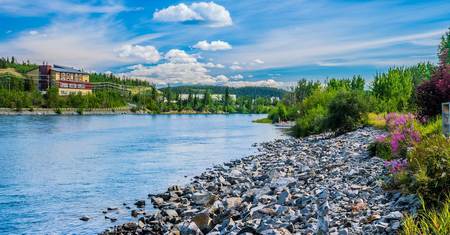 Whitehorse