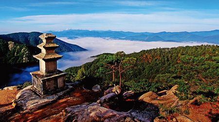 Parque Nacional Gyeongju