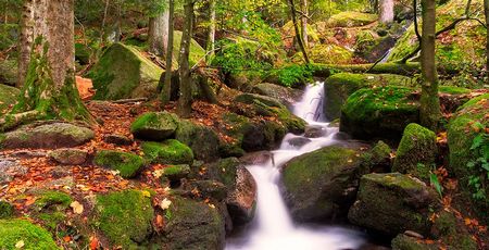 Schwarzwald: Cascadas de Triberg