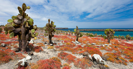 Islas Galápagos: Paraíso de la Naturaleza