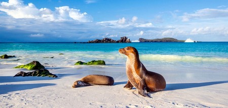 Galapagos