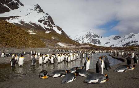 Islas Kerguelen