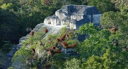 Tikal