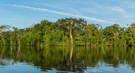 Amazonas