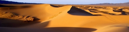 Desierto de Gobi