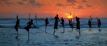 Stilt Fishermen - Ceylan