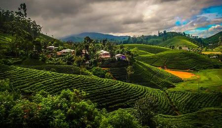 Sri Lanka