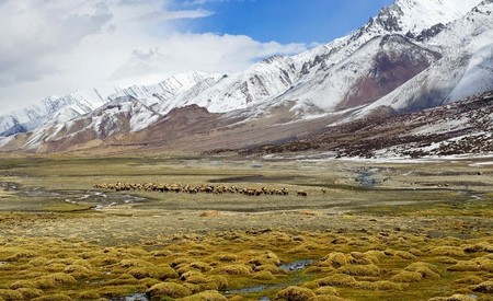 Hemis National Park