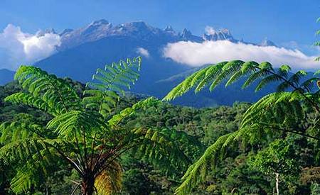 Monte Kinabalu