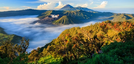 P.N. Bromo Tenger Semeru