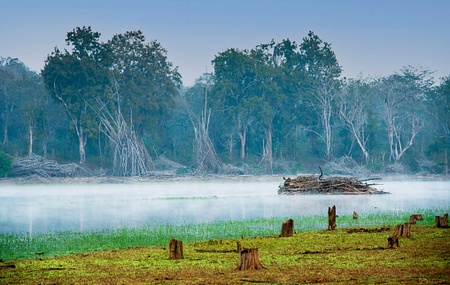 Parque Nacional Nagarahole