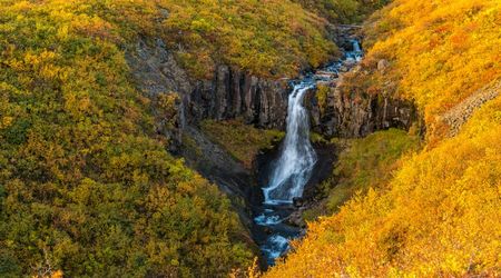 Parque Nacional de Skaftafell