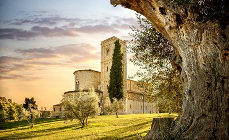 Montalcino