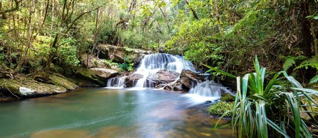 Parque Nacional de Andasibe