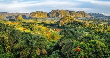 Valle de Vi&ntildeales