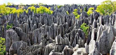 Parque Nacional Tsingy de Bemaraha