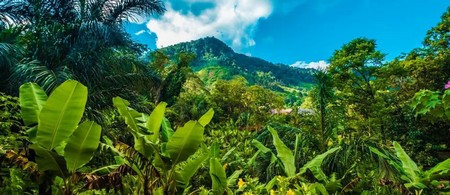 Parque Nacional de Ranomafana