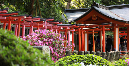 Santuario Nezu-jinja