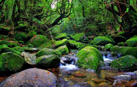 Yakushima