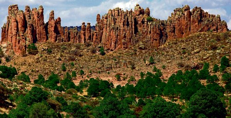 Sierra de Organos