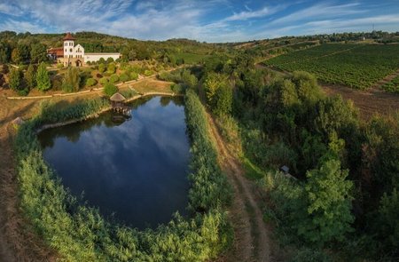 Château Purcari