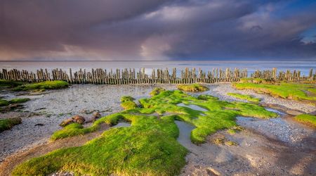 Wadden Sea Coast