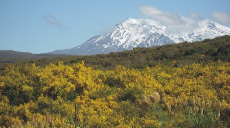 Tongariro