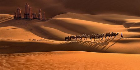 Caravana por el Desiertoa