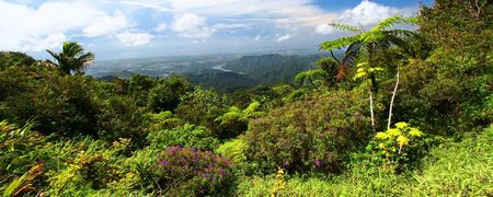 Puerto Rico: PN de El Yunque