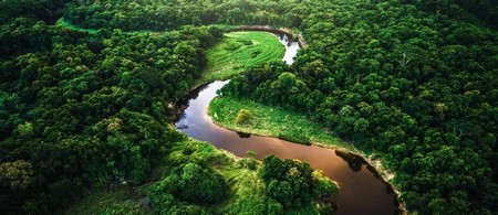 Amazonia Peruana