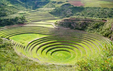 Moray